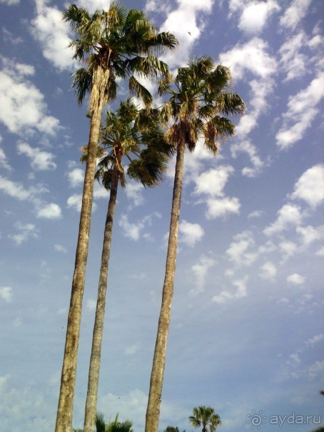 Отдых и лечение в одном флаконе.