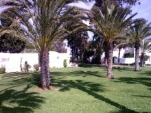 Отдых и лечение в одном флаконе.