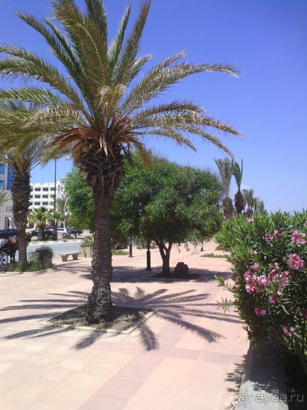 Отдых и лечение в одном флаконе.