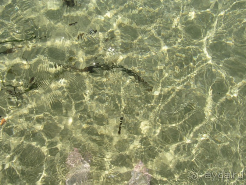 Отдых и лечение в одном флаконе.