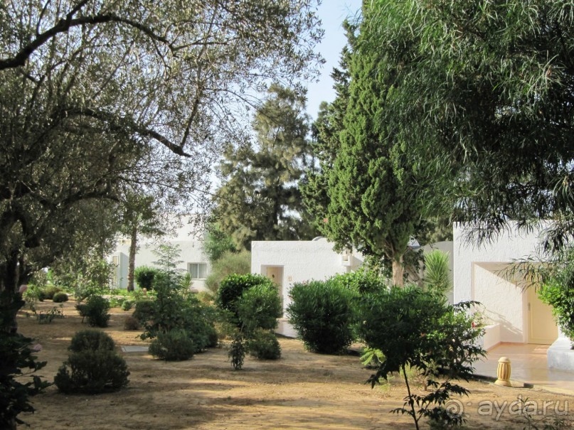 Отдых и лечение в одном флаконе.