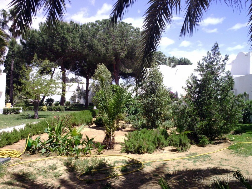 Отдых и лечение в одном флаконе.