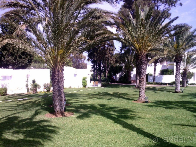 Отдых и лечение в одном флаконе.