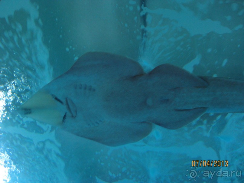 Самостоятельно по Испании