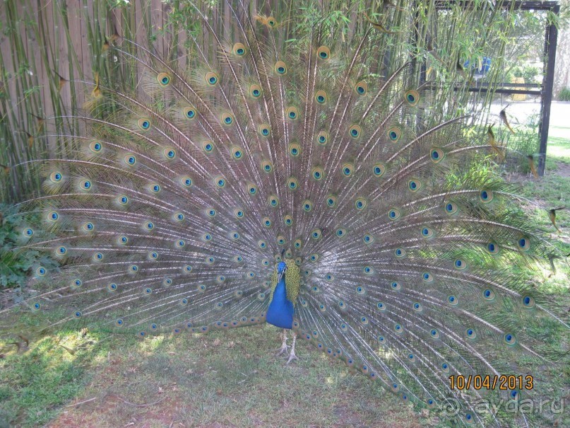 Самостоятельно по Испании