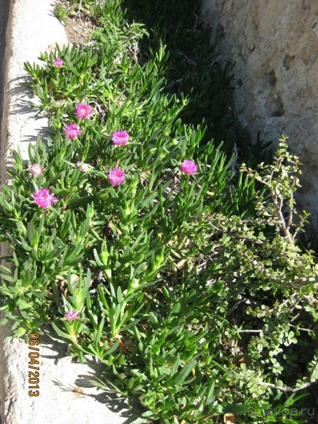 Самостоятельно по Испании