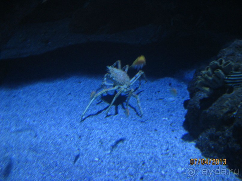 Самостоятельно по Испании