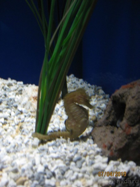 Самостоятельно по Испании