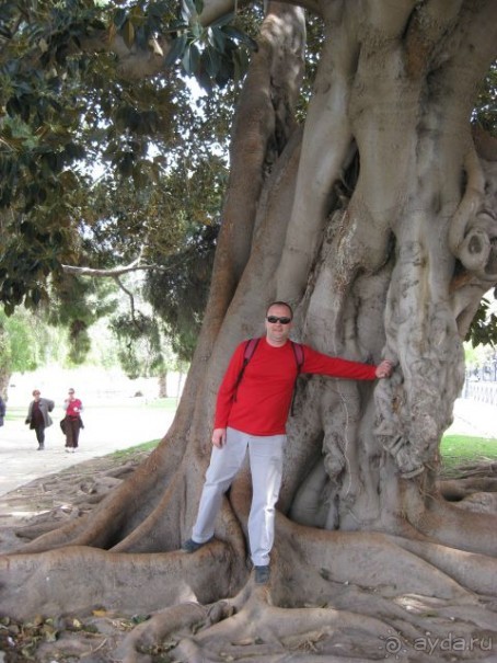 Самостоятельно по Испании