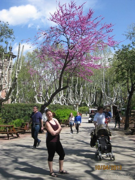 Самостоятельно по Испании