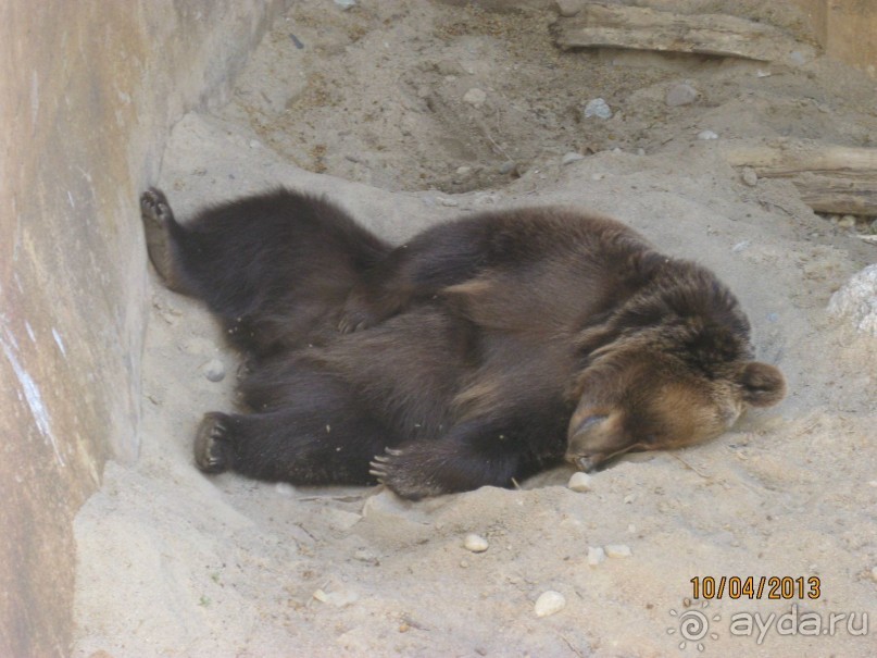 Самостоятельно по Испании