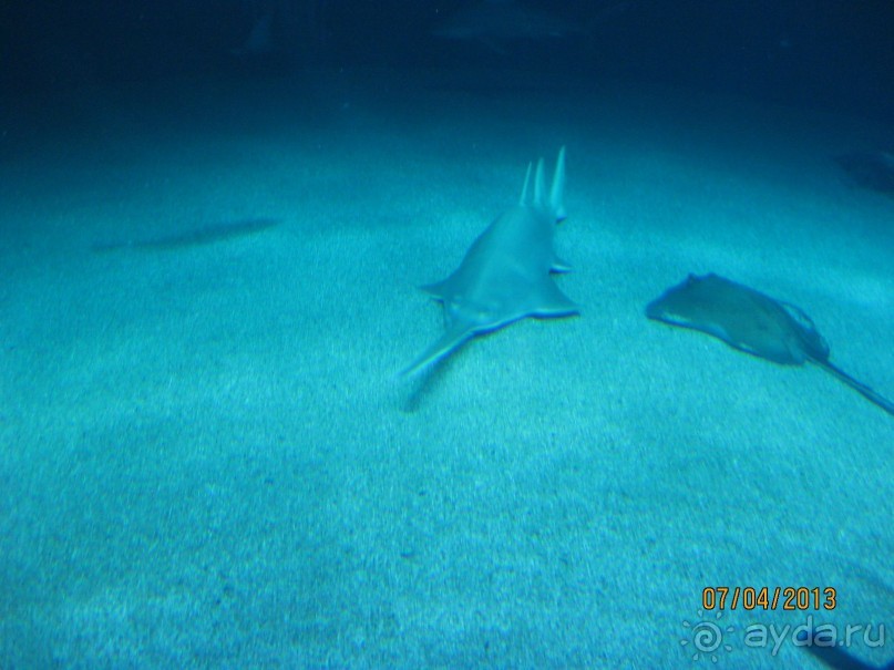 Самостоятельно по Испании