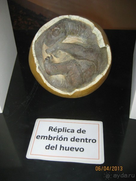 Самостоятельно по Испании