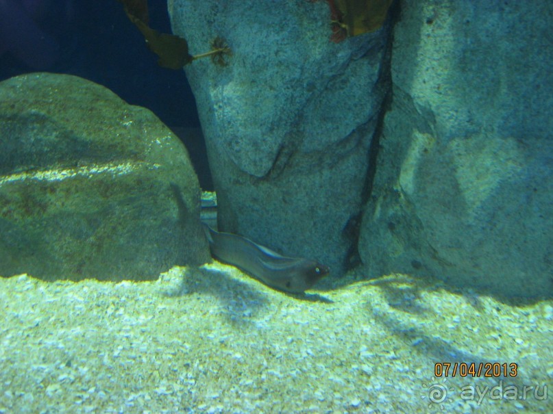 Самостоятельно по Испании