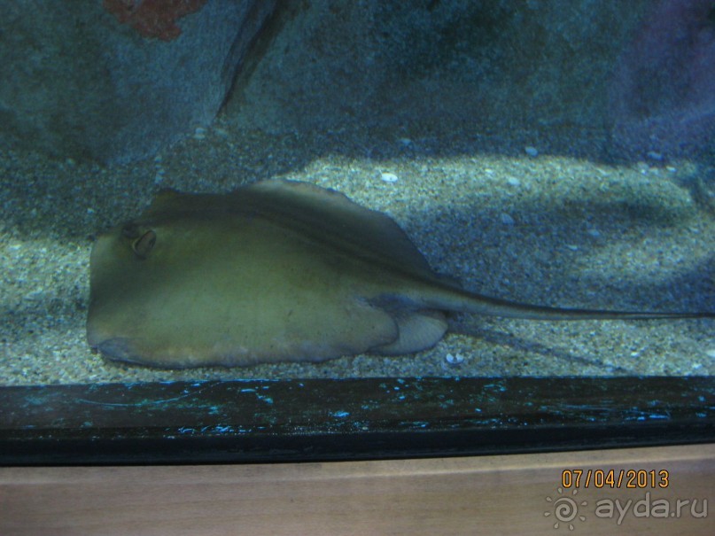 Самостоятельно по Испании