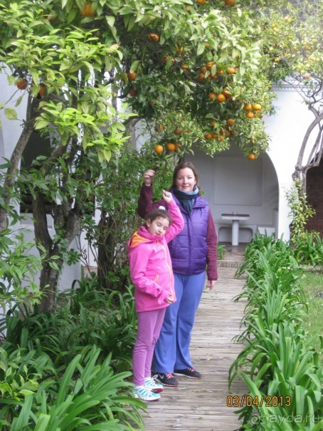 Самостоятельно по Испании