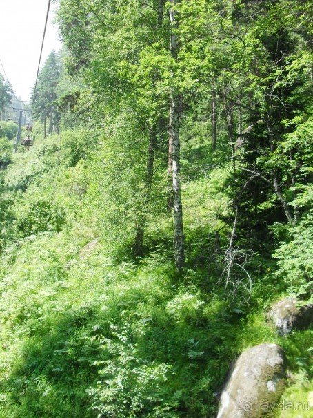 За хорошими впечатлениями в Марьино!