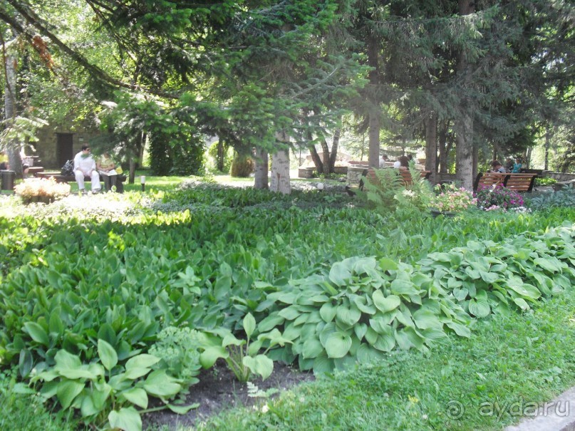 За хорошими впечатлениями в Марьино!