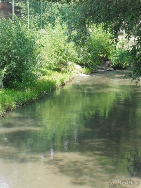 За хорошими впечатлениями в Марьино!