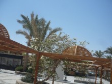 фото Florimontan