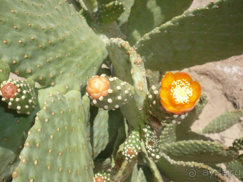 Ну не так уж всё и плохо.....