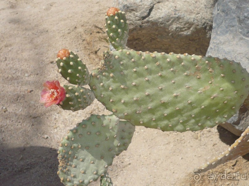 Ну не так уж всё и плохо.....