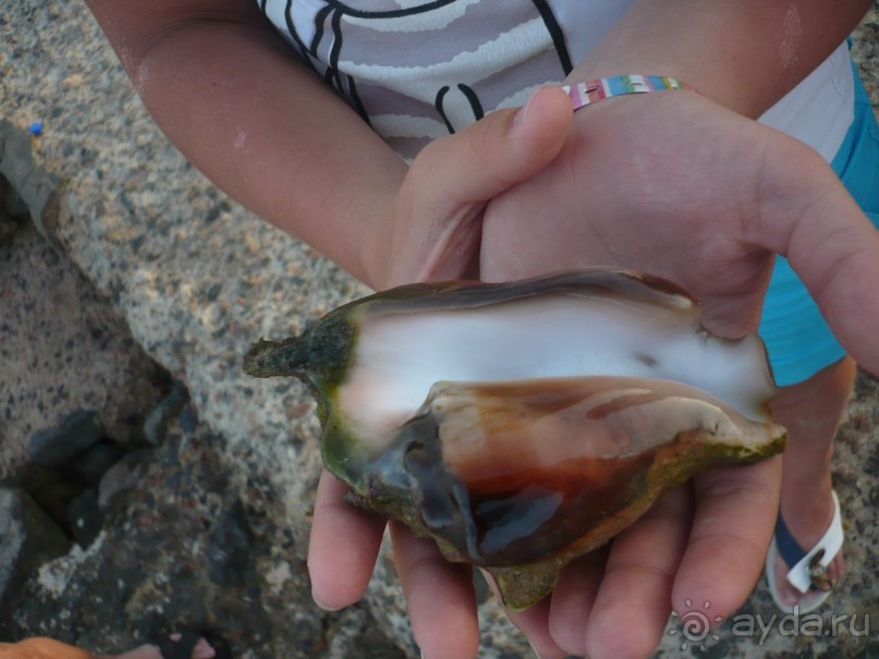 Ну не так уж всё и плохо.....