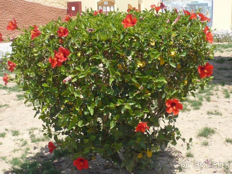 Ну не так уж всё и плохо.....