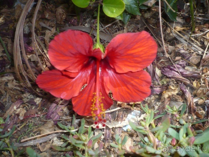 Ну не так уж всё и плохо.....