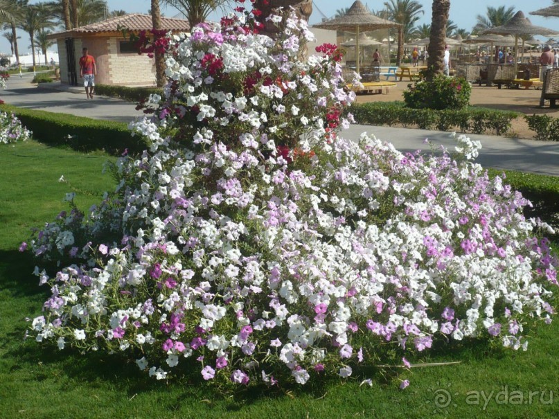 Ну не так уж всё и плохо.....