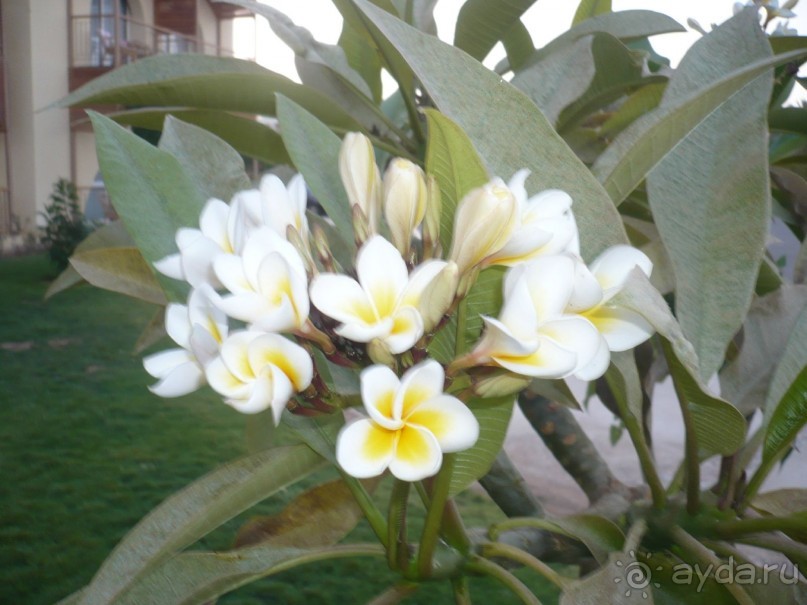 Ну не так уж всё и плохо.....