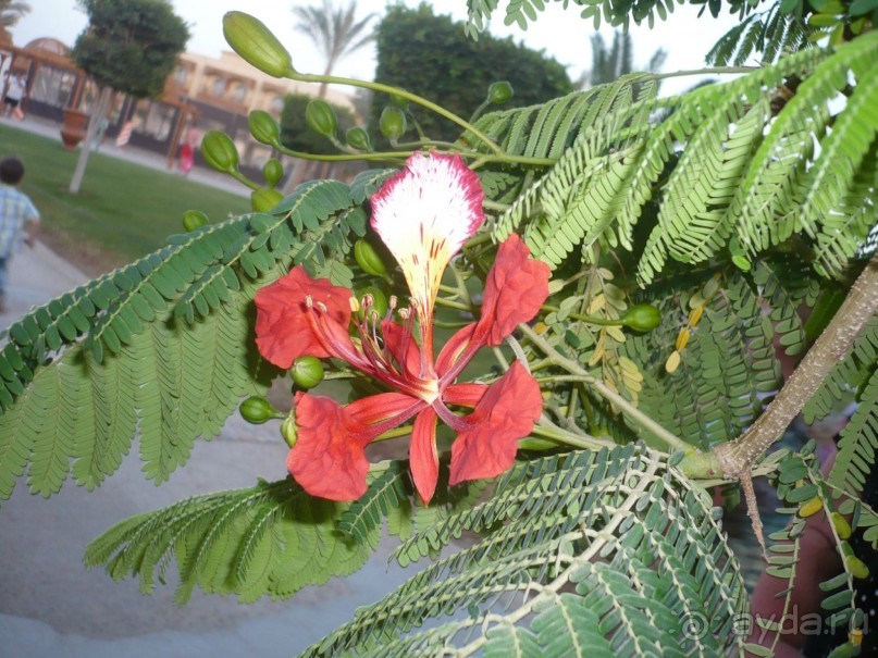 Ну не так уж всё и плохо.....