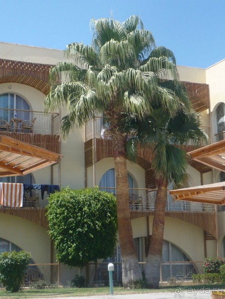 Ну не так уж всё и плохо.....