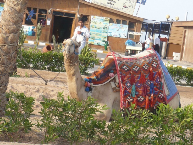 Ну не так уж всё и плохо.....