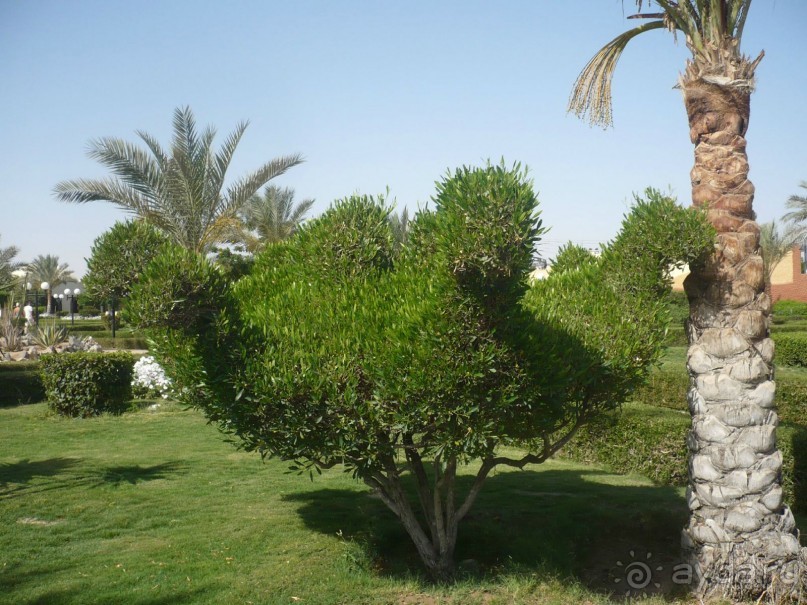 Ну не так уж всё и плохо.....