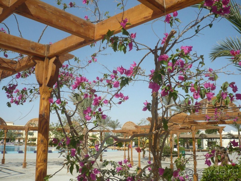 Ну не так уж всё и плохо.....