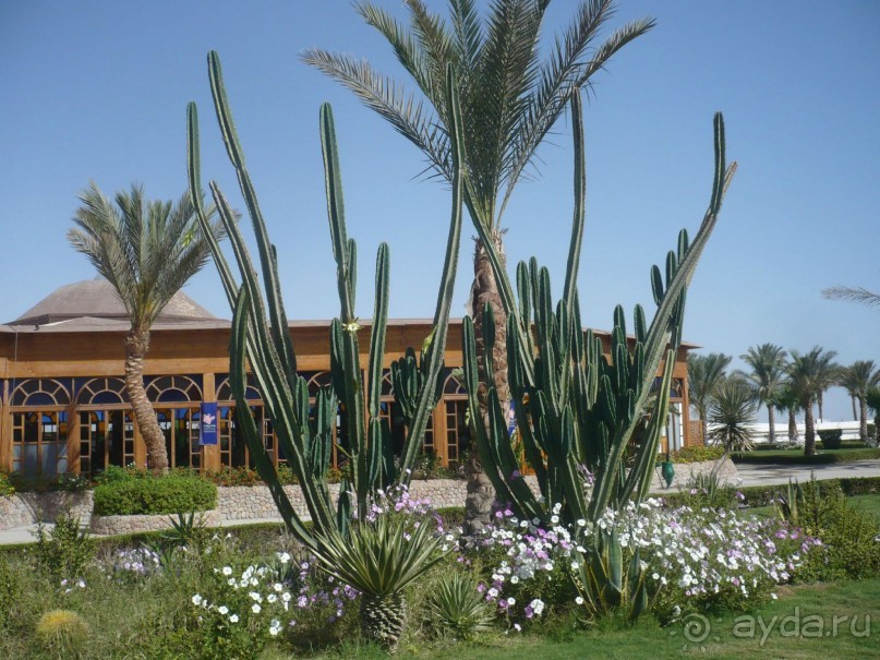 Ну не так уж всё и плохо.....