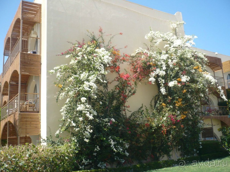 Ну не так уж всё и плохо.....