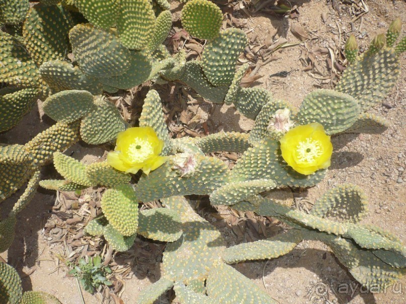 Ну не так уж всё и плохо.....
