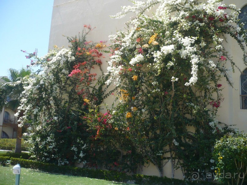 Ну не так уж всё и плохо.....