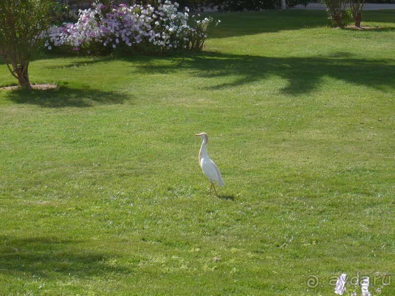 Ну не так уж всё и плохо.....