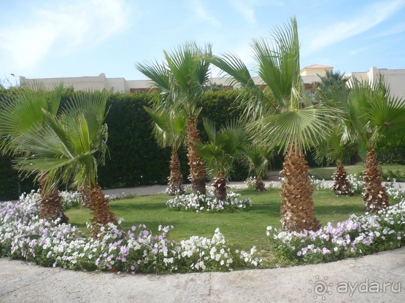 Ну не так уж всё и плохо.....