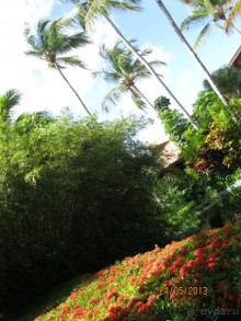 фото Natura Park Beach Eco Resort & Spa