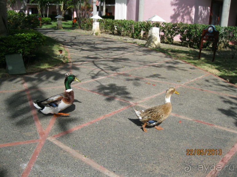 Не плохо, но в этот отель больше не поеду.