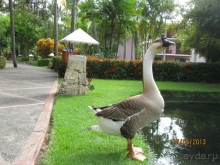 фото Natura Park Beach Eco Resort & Spa