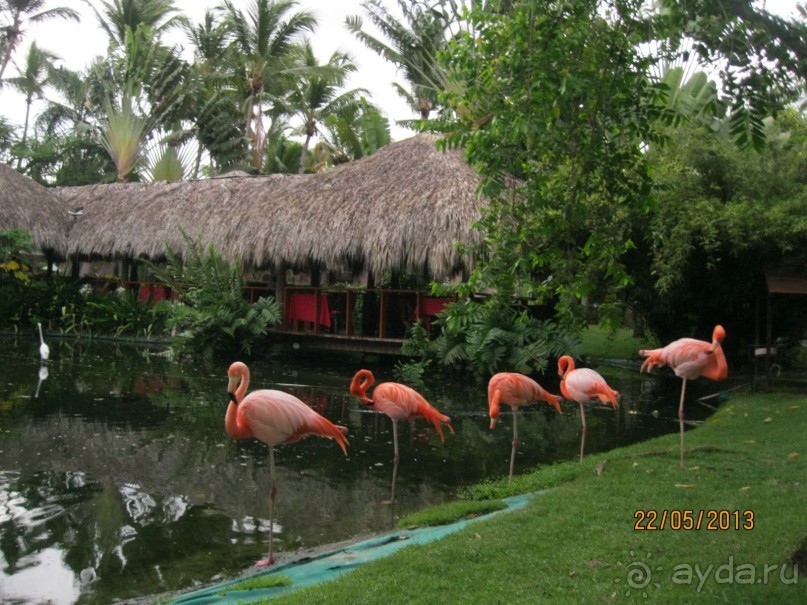 Не плохо, но в этот отель больше не поеду.