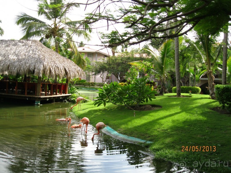 Не плохо, но в этот отель больше не поеду.