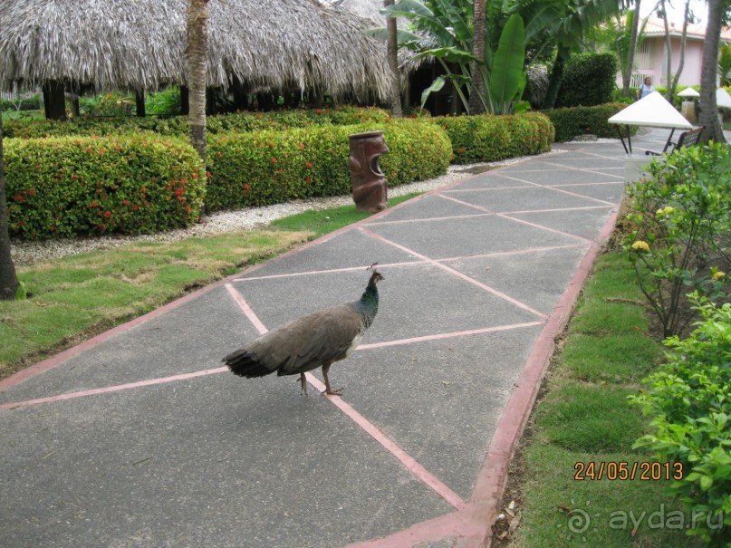 Не плохо, но в этот отель больше не поеду.