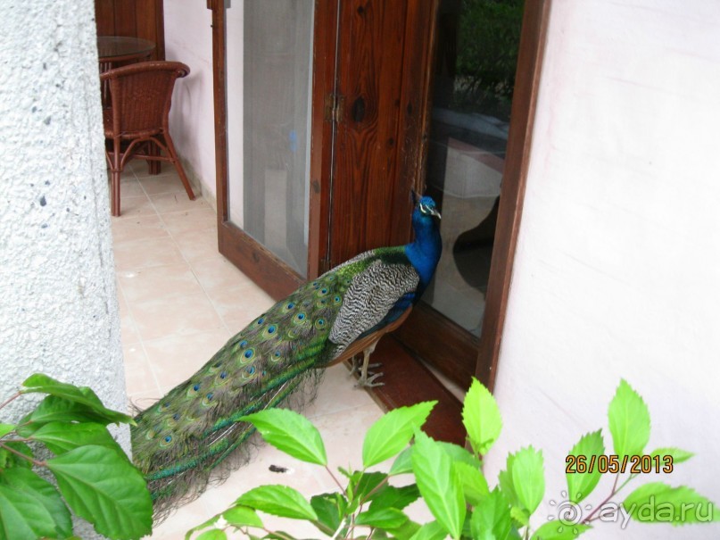 Не плохо, но в этот отель больше не поеду.