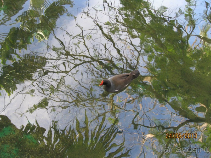 Не плохо, но в этот отель больше не поеду.